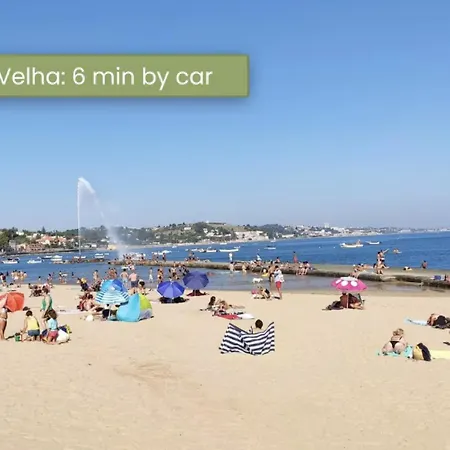 Villa - 16min To Downtown - 30 Ppl